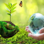 How to Travel Sustainably